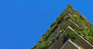 sustainable supply chain feature